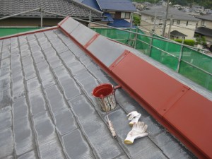 IMG_1109