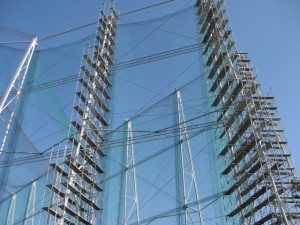 IMG_1142