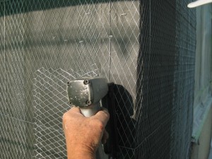 IMG_3929
